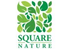 Square Nature