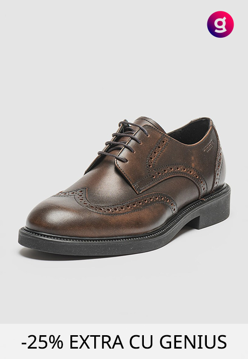 Pantofi Vagabond Shoemakers