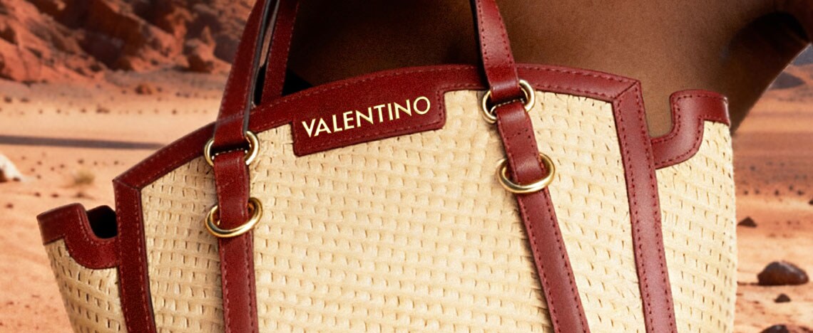 Valentino Bags