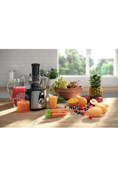 Tefal Storcator de fructe  Juice Express , 800 W, 2 viteze, 0.8 l, Inox Femei