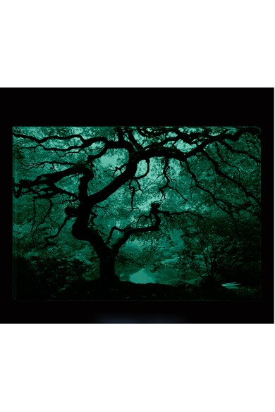 Startonight Tablou DualView  Artar Celebru, Natura, Luminos in intuneric, 70 x 100 cm Femei