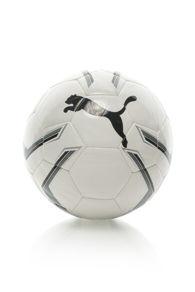 Puma Minge cu logo, pentru fotbal Pro Training 2 Barbati