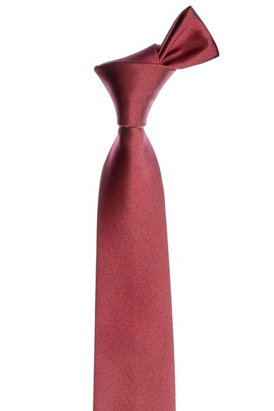 NEXT Cravata skinny Barbati