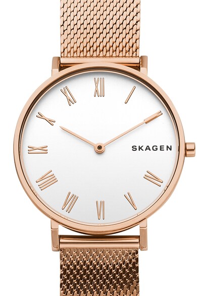 Skagen Ceas cu bratara metalica cu model plasa Femei