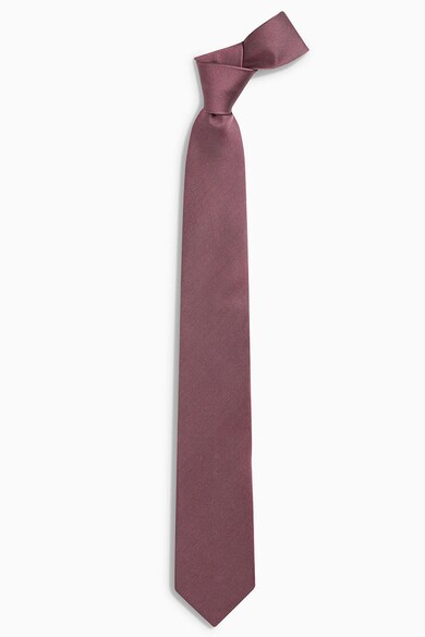 NEXT Set de cravata de matase si batista decorativa Barbati