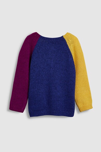 NEXT Cardigan colorblock Fete