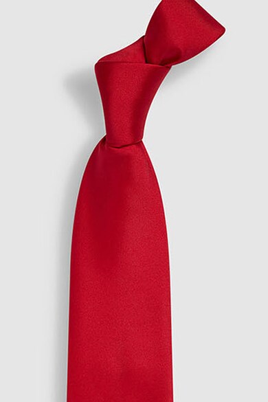 NEXT Cravata eleganta Barbati