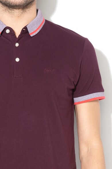 Esprit Tricou polo regular fit cu terminatii contrastante Barbati