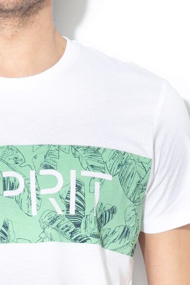 Esprit Regular fit póló férfi