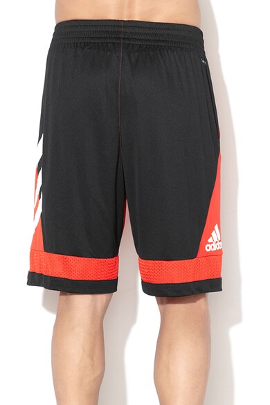 adidas Performance Баскетболни шорти с бандаж Мъже