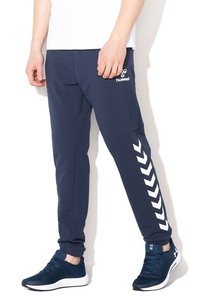 Hummel Pantaloni sport pentru antrenament Ray Barbati