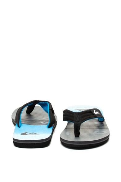 QUIKSILVER Papuci flip-flop cu imprimeu logo Molokai Barbati