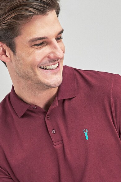 NEXT Bluza polo regular fit cu broderie Barbati