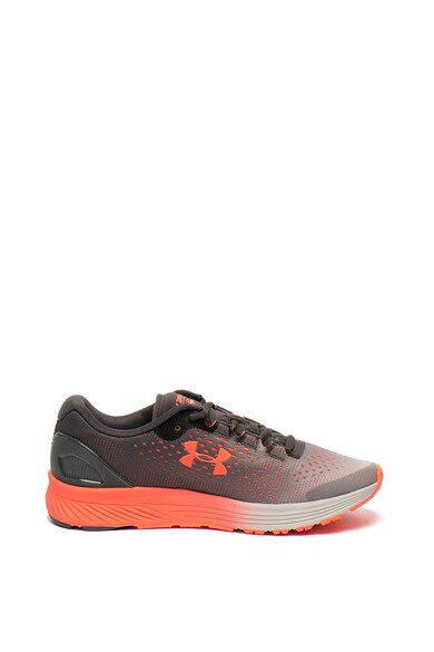 Under Armour Pantofi cu detalii contrastante, pentru alergare Charged Bandit 4 Femei