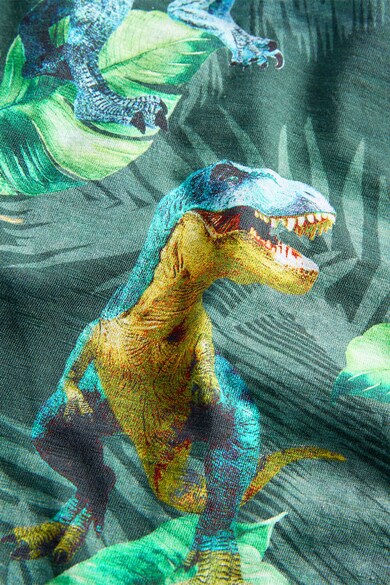 NEXT Tricou cu imprimeu dinozaur Baieti