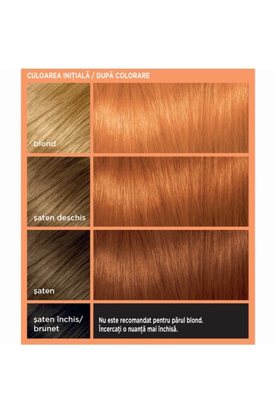 L'Oreal Paris Vopsea de par gel permanenta  Colorista Copper, 204 ml Femei