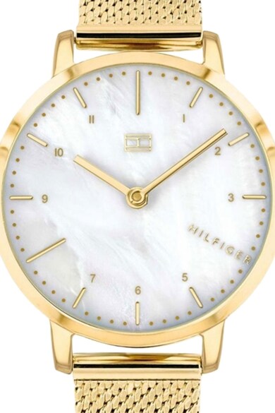 Tommy Hilfiger Ceas quartz cu bratara cu aspect de plasa Femei