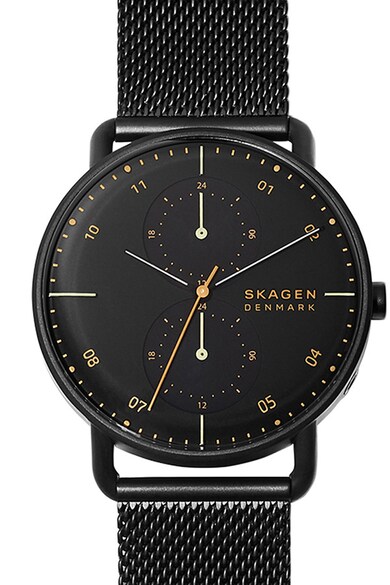 Skagen Ceas analog cu bratara cu model plasa Barbati