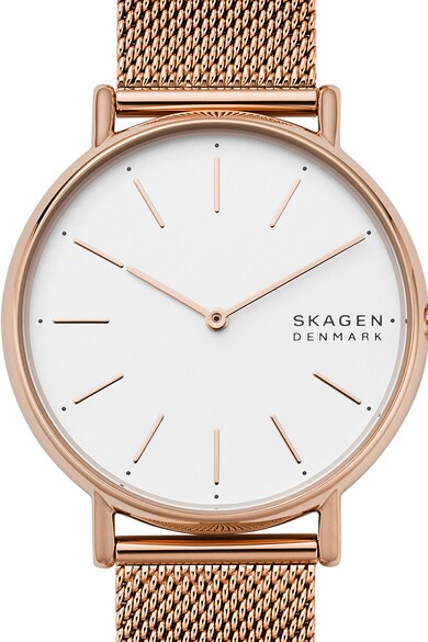 Skagen Ceas rotund cu bratara metalica cu model plasa Femei