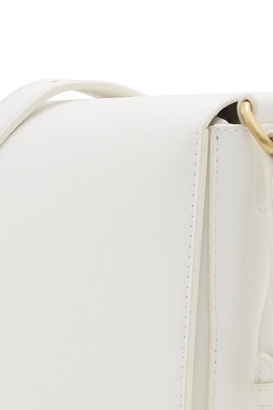 Aldo Geanta crossbody de piele ecologica Praets Femei