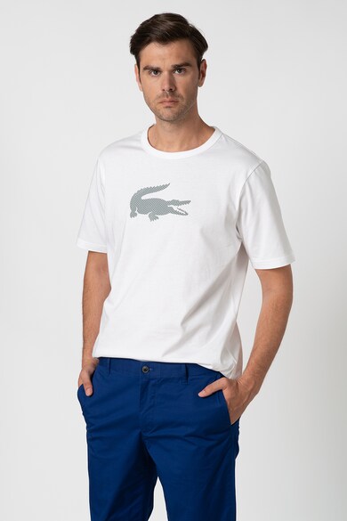 Lacoste Tricou cu imprimeu logo Barbati