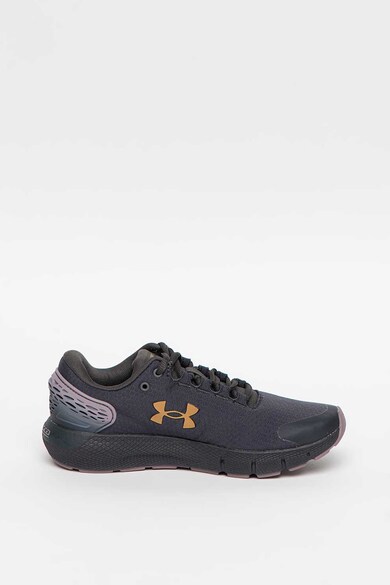 Under Armour Pantofi pentru alergare Charged Rogue 2 Storm Femei