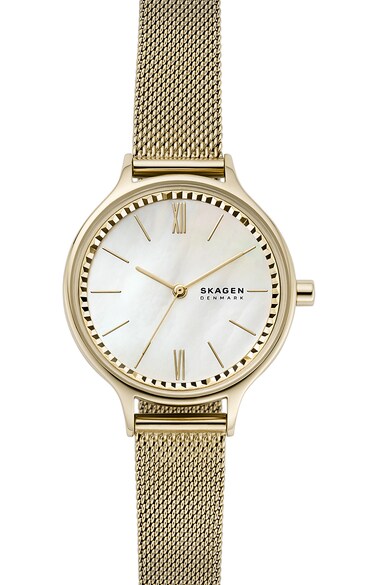 Skagen Ceas cu bratara cu model tip plasa si cu un cadran mother of pearl Anita Femei