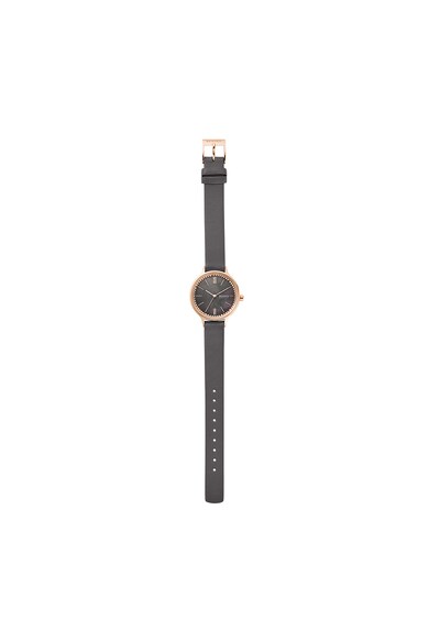 Skagen Ceas cu o curea si cu un cadran mother of pearl Anita Femei