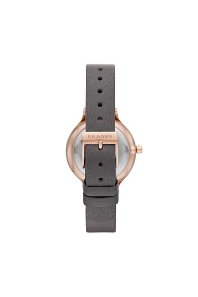 Skagen Ceas cu o curea si cu un cadran mother of pearl Anita Femei