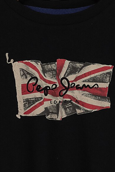 Pepe Jeans London Bluza din jerseu cu imprimeu steag UK Baieti