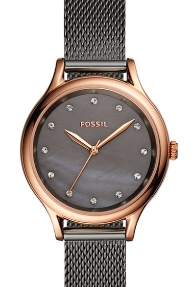 Fossil Иноксов часовник с кристали Жени