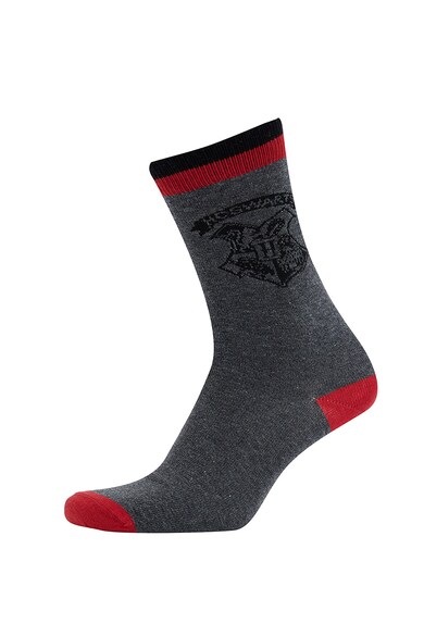 DeFacto Чорапи с щампа - 2 чифта Мъже