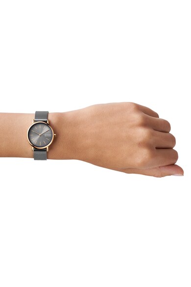 Skagen Кварцов часовник с двуцветен дизайн Жени