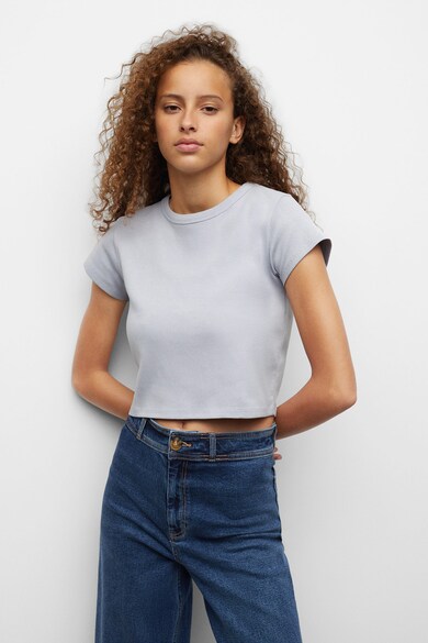 Mango Tricou crop June Fete