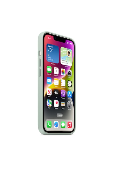 Apple Husa de protectie  Silicone Case with MagSafe pentru iPhone 14, Succulent Femei