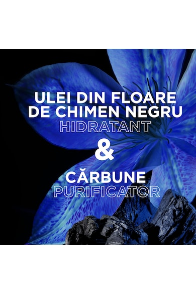 Garnier Sampon  Botanic Therapy Magnetic Charcoal & Black Seed Oil, 400 ml Femei