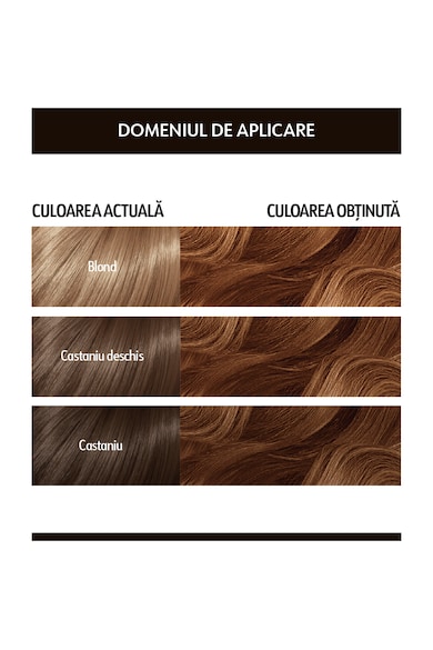 Loncolor Vopsea de par permanenta  HempStyle 5.3 Castaniu Auriu, 100 ml Femei