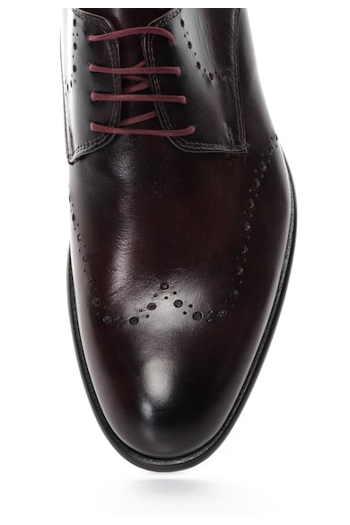 Zee Lane Pantofi derby Bordeaux inchis de piele Barbati