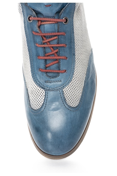 Zee Lane Collection Кожени обувки в синьо и мръснобяло Мъже