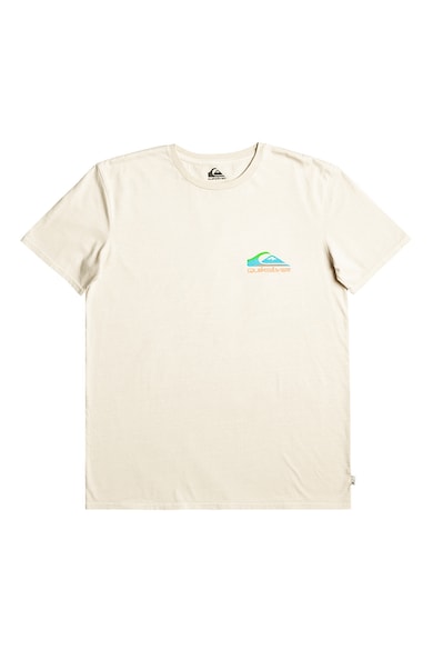 QUIKSILVER Tricou de bumbac organic Pastimeparadise Barbati