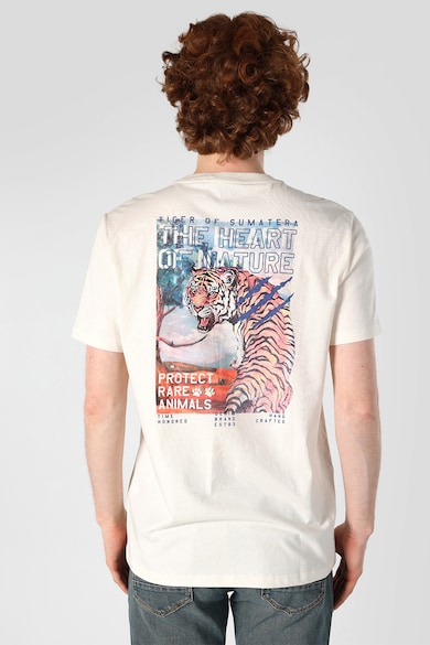 COLIN'S Памучна тениска с щампа Мъже