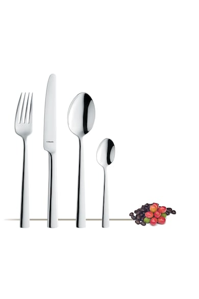 Amefa Set tacamuri  Hugo, inox 18/10, 3 mm, 24 piese Femei