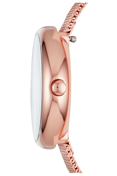 Skagen Ceas auriu rose Signatur 0 Femei