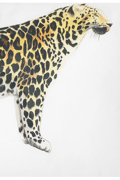 Descamps Perna alba cu imprimeu leopard Canopee Barbati