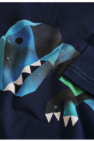 NEXT Set de bluze turcoaz cu bleumarin cu dungi si dinozauri Baieti