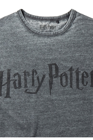 Recovered Tricou cu imprimeu Harry Potter Classic Logo Charcoal 5465 Barbati