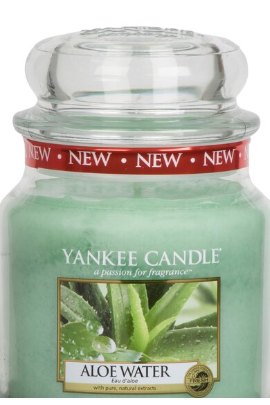 YANKEE CANDLE Lumanare parfumata in borcan mediu Aloe Water Barbati