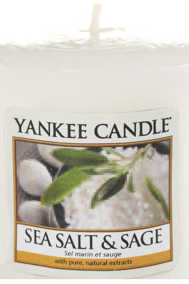 YANKEE CANDLE Set de lumanari parfumate Sea Salt&Sage - 2 bucati Barbati