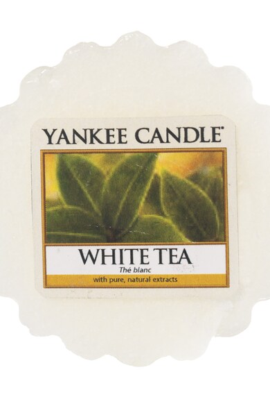 YANKEE CANDLE Set de tarte de ceara parfumata White Tea - 2 bucati Femei