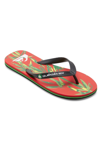 QUIKSILVER Papuci flip-flop cu logo Molokai Barbati